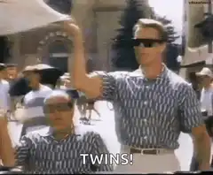 Two men in matching shirts and sunglasses shout TWINS!