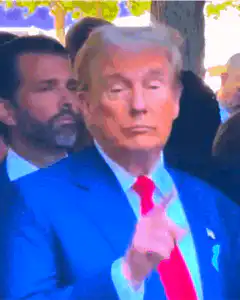 Donald Trump pointing and giving thumbs up