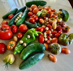 assorted fresh vegetables on table