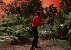 Man gets struck by lightning and turns into smoke