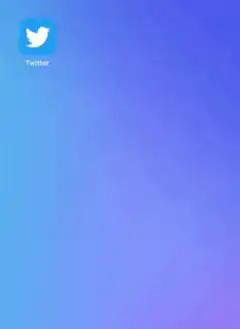 iPhone home screen remove Twitter app
