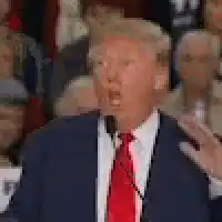 Donald Trump speaking at a rally