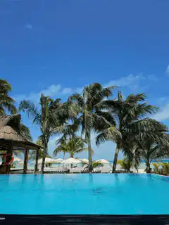 Tropical resort pool with palm trees
