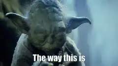 Yoda The Way This Is
