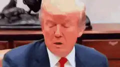Donald Trump shaking head no