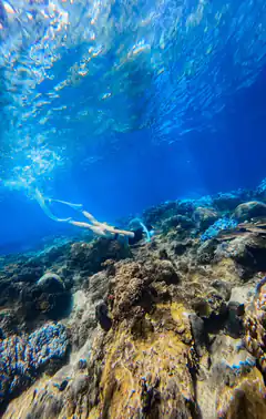 Snorkeler swimming over coral reef underwater