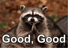 Raccoon Good Good