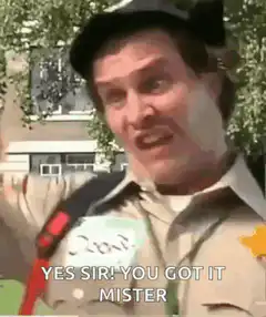 Doofy Ranger Yes Sir You Got It Mister