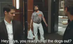 Hey guys, you ready to let the dogs out?