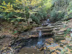 small waterfall in autumn forest