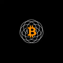 Bitcoin diagram with related fields
