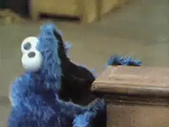 Cookie Monster looking at a box