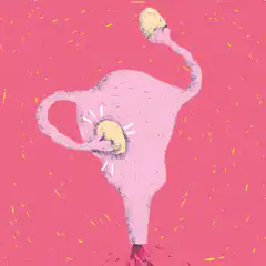 Pink uterus with yellow ovaries