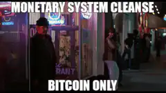 Bitcoin Only Monetary System Cleanse
