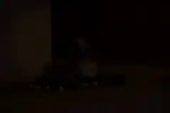 furry cat plush jumps at camera
