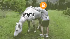 man riding horse bitcoin value drops