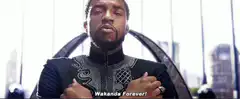 T'Challa says Wakanda Forever