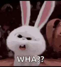 White Rabbit Wha??