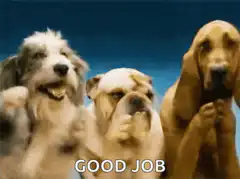 Three dogs clapping with good job text