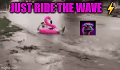 Just Ride The Wave Nostr
