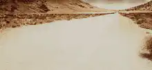 Tumbleweed rolling down a desert road