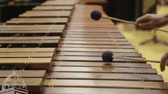 Person playing marimba with purple mallets
