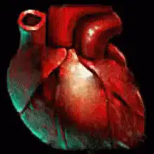 glowing anatomical heart