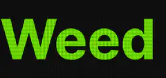 Weed is God Lets Get High