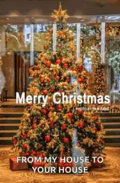 Merry Christmas from my house to your house