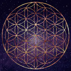 Golden sacred geometry symbols on starry background