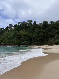 tropical beach with waves and jungle