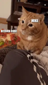 Cat Mike Bitcoin Core