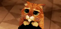 Sad orange cat with big eyes