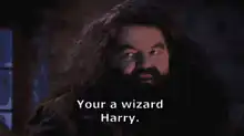 Hagrid tells Harry he's a wizard