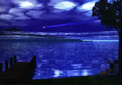 couple watching shooting star over lake