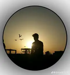 Silhouette of person at sunset with birds