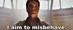 I aim to misbehave