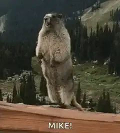 Groundhog screaming MIKE