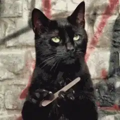 Black cat holding a nail file