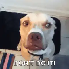 Dog saying don't do it