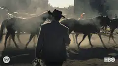 Man in hat watches horses and carriage