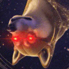Doge laser eyes