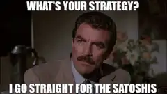 What's Your Strategy Go Straight For The Satoshis
