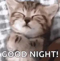 Sleeping kitten good night