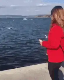 Woman feeding seagulls by the sea