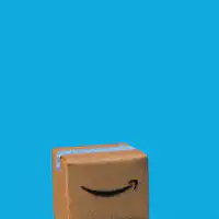 Amazon cardboard box transforms into paper man
