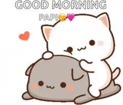 Good Morning Papi Cat