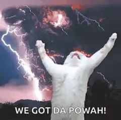 White Cat We Got Da Powah