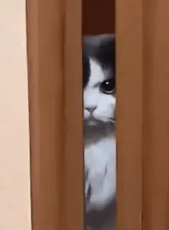 Cat peeking through door slats