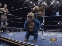 Wrestler kicks mascot in ring